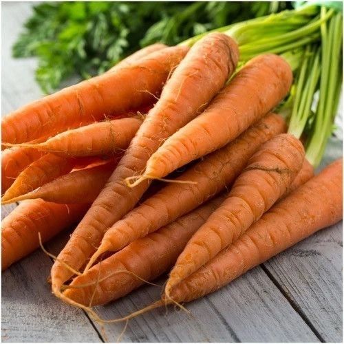 Tendersweet Carrot