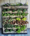 Container/Vertical Gardening-Small Urban Packs (20 packs)