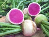 Watermelon Radish