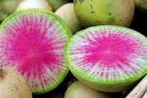 Watermelon Radish