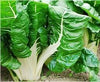 White swiss chard